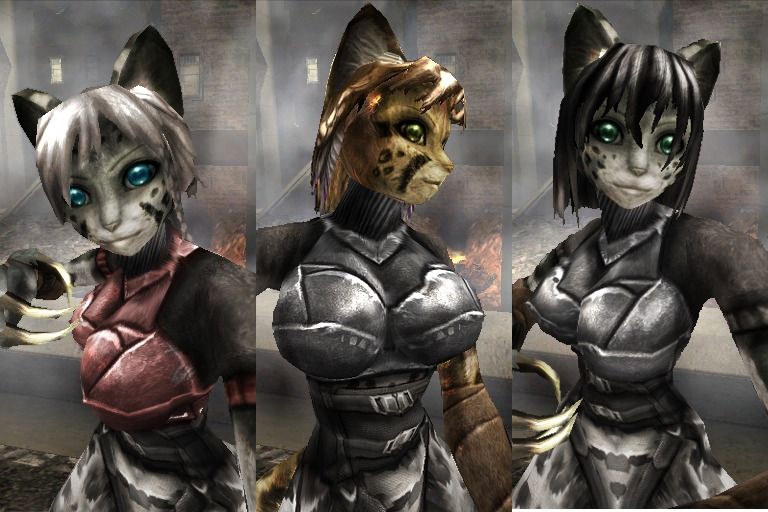 CAT ANTHRO MODEL PACK - Russian Tournament